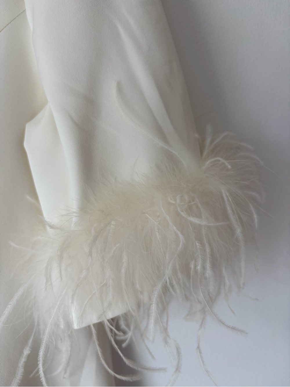 Preston & York Cream Ivory Elegant Feather-Sleeve Shift Dress NWTs size 10 - Picture 5 of 8